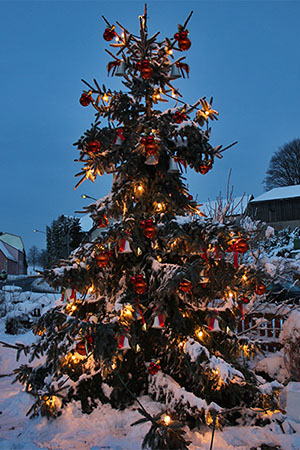 Adventseinsingen 2012